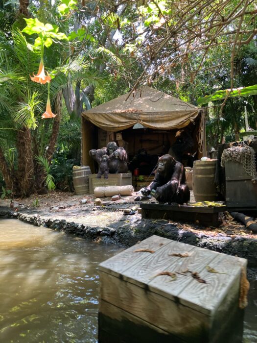 Photo of a scene in the Jungle Cruise attraction at Disneyland Park. Shows gorillas in a tent among lush jungle foliage.