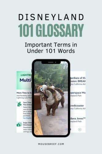 Photo of a cellphone screen showing characters Chip and Dale at Disney California Adventure Park. The text headline says Disneyland 101 Glossary, Important Terms in Under 101 Words”