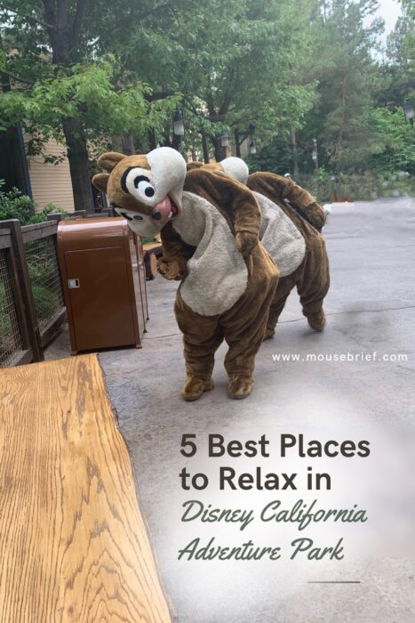 Photo of costumed Chip and Dale characters leaning to the side in greeting. They are standing on a wooded pathway by a bench for relaxing at Disney California Adventure Park. Text heading says “5 Best Places to Relax in Disney California Adventure Park”