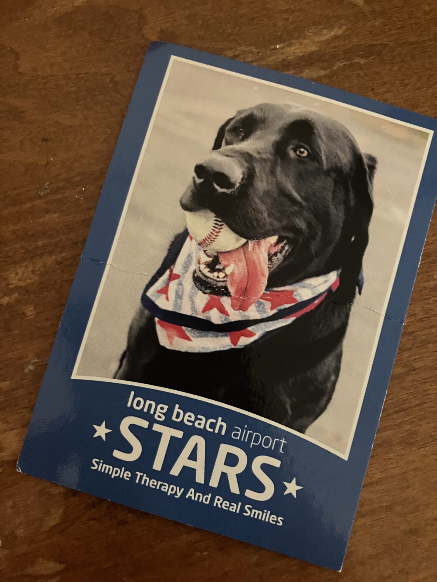 Photo of trading card showing black lab in bandana with baseball. Text reads Long Beach Airport STARS Simple Therapy and Real Smiles