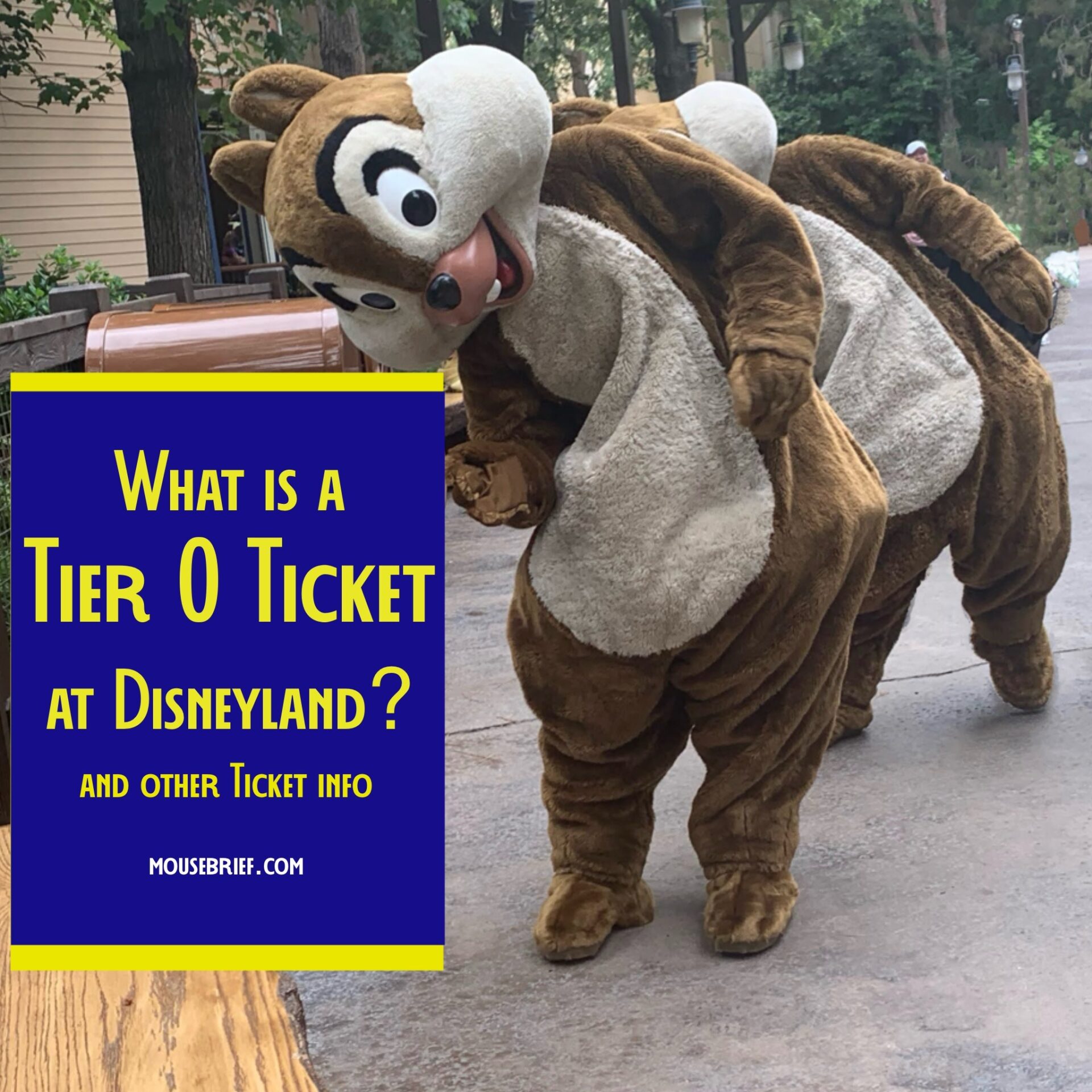 Photo of Disneyland Resort characters Chip and Dale next to the title “What is a Tier 0 Ticket at Disneyland? and Other Ticket Info.” Characters are tilting their heads to the side to illustrate that this guide can offer advice and information to help clear up the possibility for confusion around ticket tiers at Disneyland Park and Disney California Adventure Park.