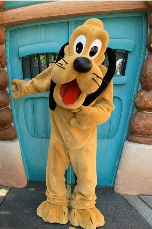 Photo showing Pluto costume character in front of teal blue door in Mickey’s Toontown at Disneyland Park.