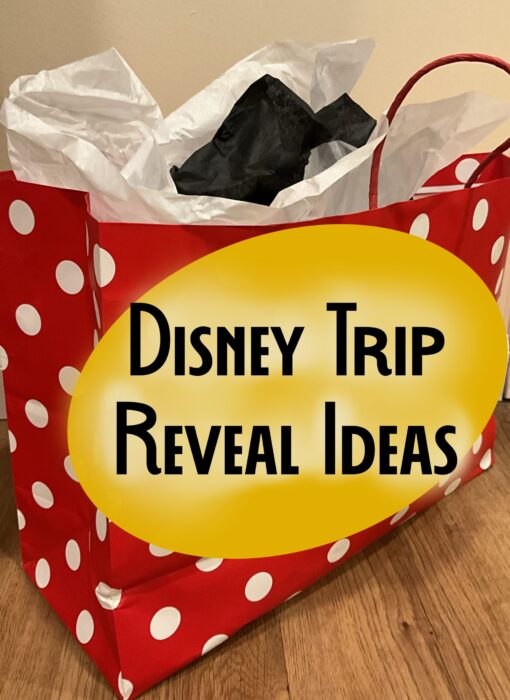 Picture of red polka dot gift bag with title “Disney Trip Reveal Ideas”