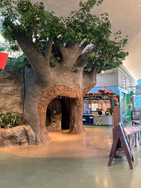 Large life-size sculpted tree in the Hamill Family Play Zoo building