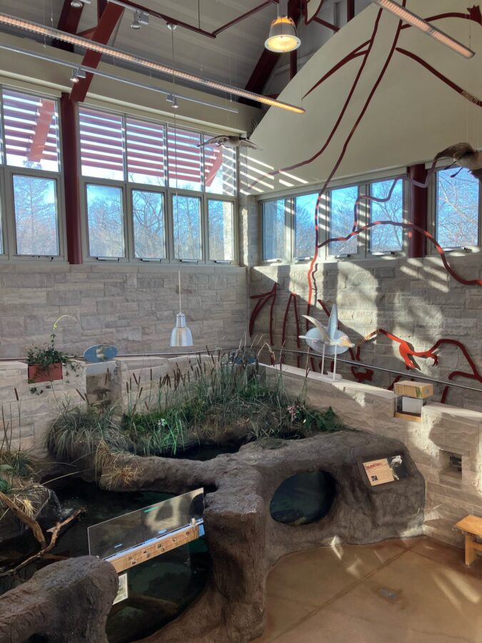 Ramp display and Indoor pond at the Little Red Schoolhouse Nature Center in Willow Springs, Illinois. Show above and below water viewing areas as well as rock work and plants.