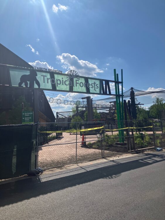 See Brookfield Zoo Chicago Primates in Their New Outdoor Habitat