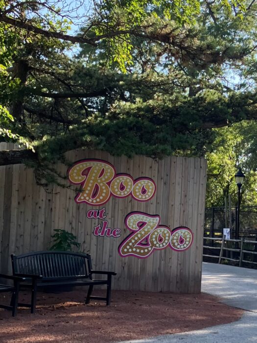 Guide to BOO! at the Zoo and Halloween at Brookfield Zoo Chicago