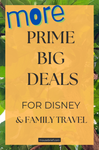 Photo of tropical leaves with title “More Prime Big Deals for Disney and Family Travel”
