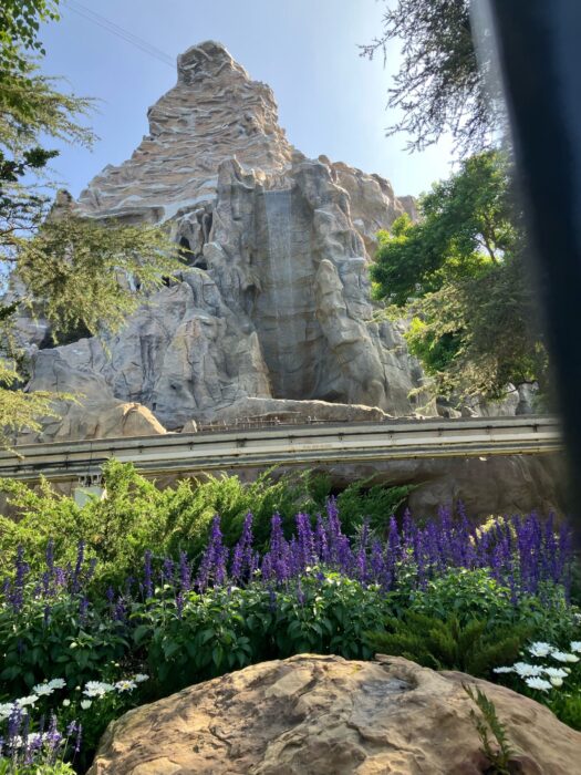 Photo of Matterhorn Mountain created for Disneyland Park. Shows purple flowers and track in the foreground with mountain rising in the background.