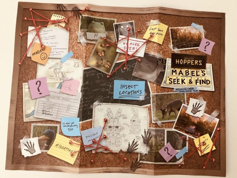 Photo showing the back of the free activity map for Mabel’s Seek and Find at Redwood Creek Challenge Trail in Disney California Adventure Park. The image shows a bulletin board with photos and notes from Mabel.
