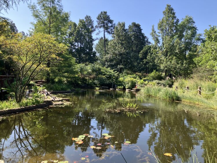 Tips for Visiting the Children’s Garden at Morton Arboretum